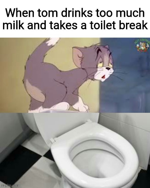 When tom drinks too much milk and takes a toilet break | image tagged in tom and jerry,toilet | made w/ Imgflip meme maker