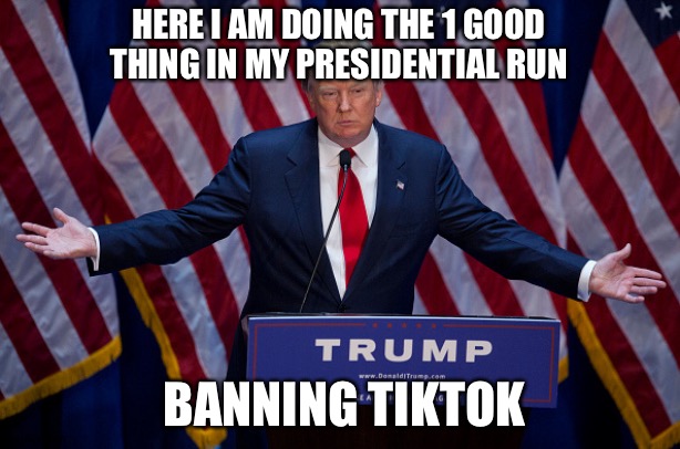 Anti tiktok | HERE I AM DOING THE 1 GOOD THING IN MY PRESIDENTIAL RUN; BANNING TIKTOK | image tagged in donald trump | made w/ Imgflip meme maker
