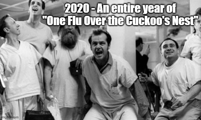 2020 - An entire year of "One Flu Over the Cuckoo's Nest." |  2020 - An entire year of "One Flu Over the Cuckoo's Nest" | image tagged in libertarian,tyranny,insanity,government shutdown,big government | made w/ Imgflip meme maker