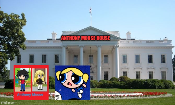 White House | ANTHONY MOOSE HOUSE | image tagged in white house | made w/ Imgflip meme maker