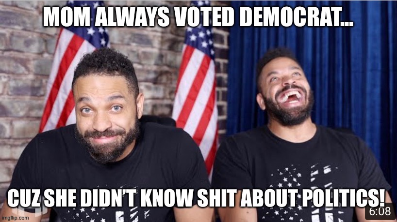 Mom don’t know politics | image tagged in democrats,conservative,youtubers | made w/ Imgflip meme maker