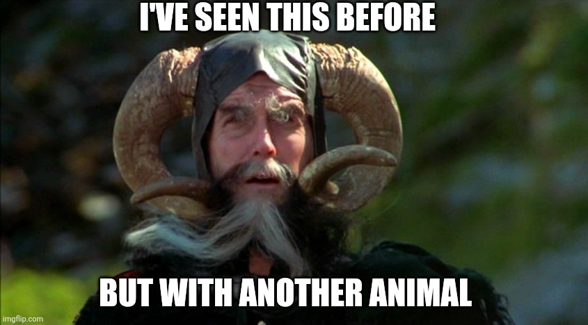 Tim The Enchanter | I'VE SEEN THIS BEFORE BUT WITH ANOTHER ANIMAL | image tagged in tim the enchanter | made w/ Imgflip meme maker