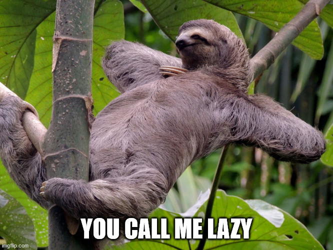 Lazy Sloth | YOU CALL ME LAZY | image tagged in lazy sloth | made w/ Imgflip meme maker