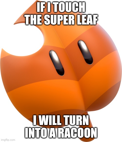 Super Leaf | IF I TOUCH THE SUPER LEAF; I WILL TURN INTO A RACOON | image tagged in super leaf | made w/ Imgflip meme maker