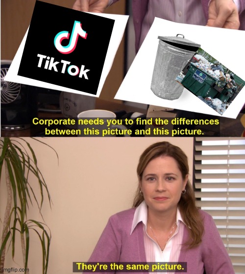 tiktok bad fortnite bad haha i so funny meme redditor big chungus haha | image tagged in memes,they're the same picture | made w/ Imgflip meme maker