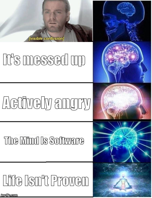 Expanding Brain 5 Panel | It's messed up Actively angry The Mind Is Software Life Isn't Proven | image tagged in expanding brain 5 panel | made w/ Imgflip meme maker