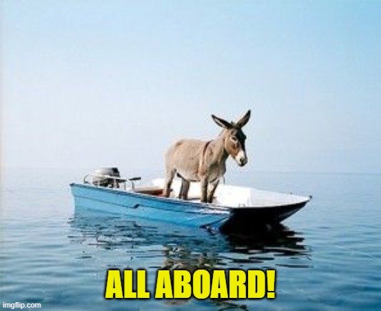 DONKEY ON A BOAT | ALL ABOARD! | image tagged in donkey on a boat | made w/ Imgflip meme maker
