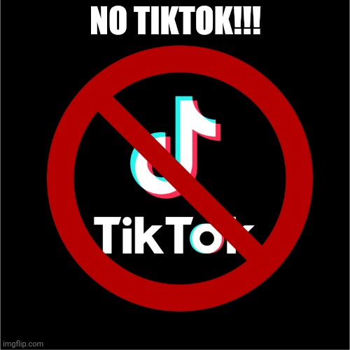 NO TIKTOK!!! | made w/ Imgflip meme maker