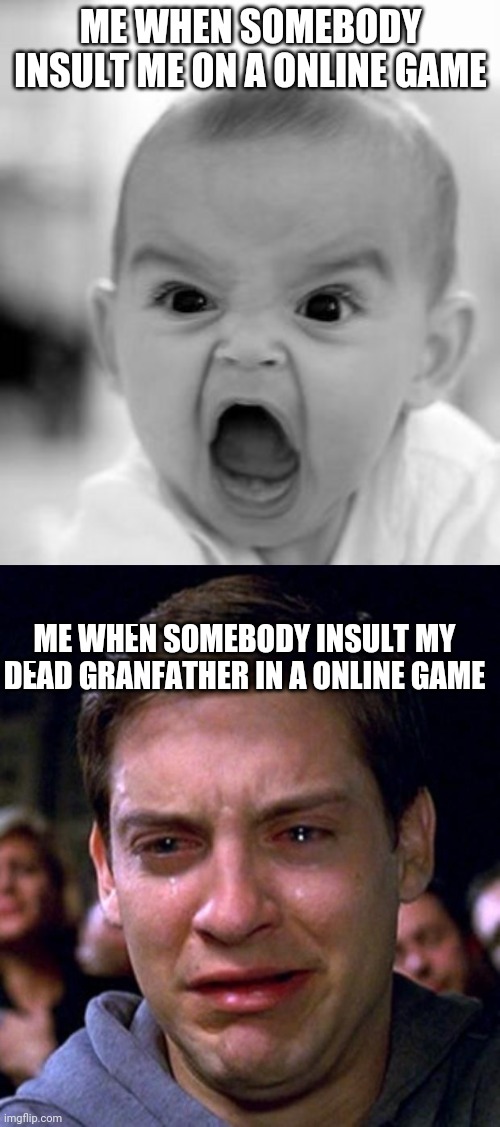Don't insult my dead grandfather | ME WHEN SOMEBODY INSULT ME ON A ONLINE GAME; ME WHEN SOMEBODY INSULT MY DEAD GRANFATHER IN A ONLINE GAME | image tagged in memes,angry baby,crying peter parker,tears | made w/ Imgflip meme maker