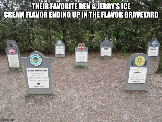 THEIR FAVORITE BEN & JERRY’S ICE CREAM FLAVOR ENDING UP IN THE FLAVOR GRAVEYARD | made w/ Imgflip meme maker