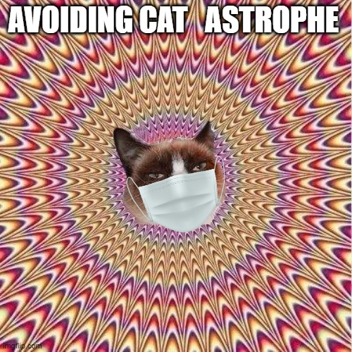 Replace the Pic In the Middle With An Even Better Pic, Yo! | AVOIDING CAT   ASTROPHE | image tagged in replace the pic in the middle with an even better pic yo | made w/ Imgflip meme maker