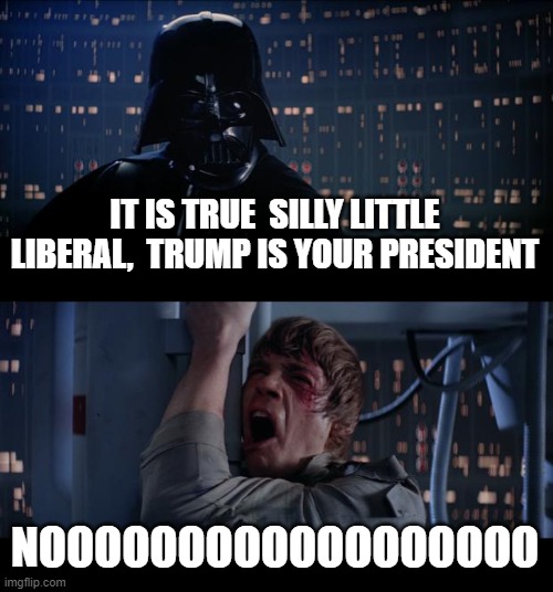 Star Wars No | IT IS TRUE  SILLY LITTLE LIBERAL,  TRUMP IS YOUR PRESIDENT; NOOOOOOOOOOOOOOOOOO | image tagged in memes,star wars no | made w/ Imgflip meme maker