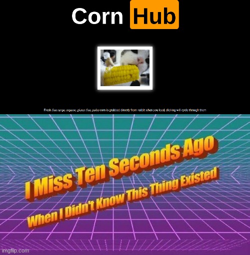 CornHub | image tagged in i miss ten seconds ago,cornhub,corn hub,memes,corn,stupid websites | made w/ Imgflip meme maker