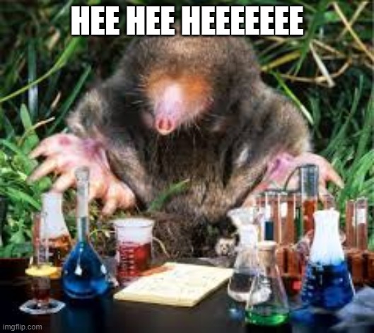 Chemistry Mole | HEE HEE HEEEEEEE | image tagged in chemistry,mole,funny,cool,fun,fruit | made w/ Imgflip meme maker