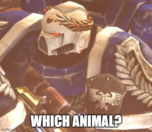What? | WHICH ANIMAL? | image tagged in what | made w/ Imgflip meme maker
