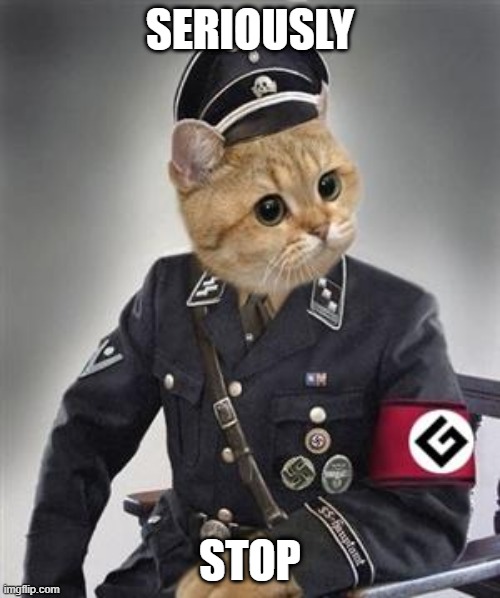 Grammar Nazi Cat | SERIOUSLY; STOP | image tagged in grammar nazi cat,cats,grammar nazi,cat memes,nazis,bad grammar and spelling memes | made w/ Imgflip meme maker