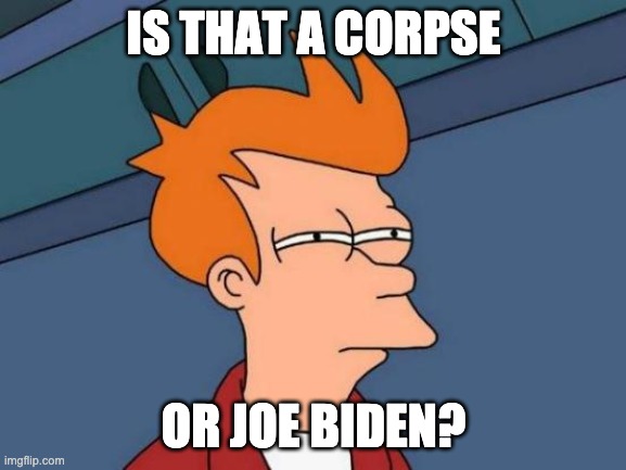 It can be hard to tell | IS THAT A CORPSE; OR JOE BIDEN? | image tagged in memes,futurama fry | made w/ Imgflip meme maker