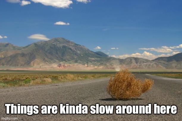 tumbleweed | Things are kinda slow around here | image tagged in tumbleweed | made w/ Imgflip meme maker