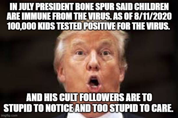 Look it up Trumpers - News that Fox News won't tell you. | IN JULY PRESIDENT BONE SPUR SAID CHILDREN ARE IMMUNE FROM THE VIRUS. AS OF 8/11/2020 100,000 KIDS TESTED POSITIVE FOR THE VIRUS. AND HIS CULT FOLLOWERS ARE TO STUPID TO NOTICE AND TOO STUPID TO CARE. | image tagged in donald trump,trump supporters,republicans,covid-19 | made w/ Imgflip meme maker