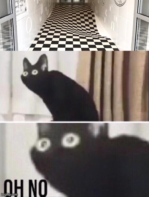That floor is an illusion. I am finished with humanity. | image tagged in oh no cat | made w/ Imgflip meme maker