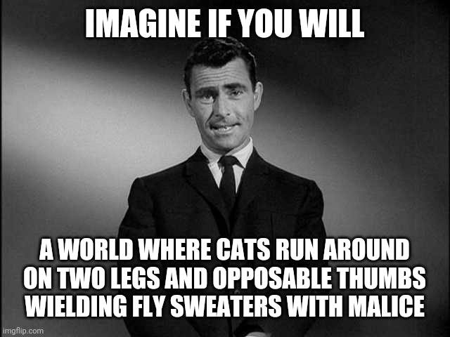rod serling twilight zone | IMAGINE IF YOU WILL; A WORLD WHERE CATS RUN AROUND ON TWO LEGS AND OPPOSABLE THUMBS WIELDING FLY SWEATERS WITH MALICE | image tagged in rod serling twilight zone | made w/ Imgflip meme maker