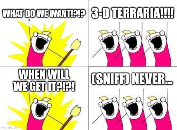 It is kinda true though... | WHAT DO WE WANT!?!? 3-D TERRARIA!!!! (SNIFF) NEVER... WHEN WILL WE GET IT?!?! | image tagged in memes,what do we want | made w/ Imgflip meme maker