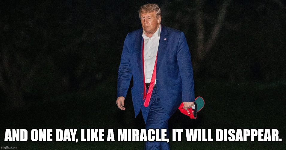 And one day, like a miracle, it will disappear. | AND ONE DAY, LIKE A MIRACLE, IT WILL DISAPPEAR. | image tagged in trump,coronavirus,dejected | made w/ Imgflip meme maker