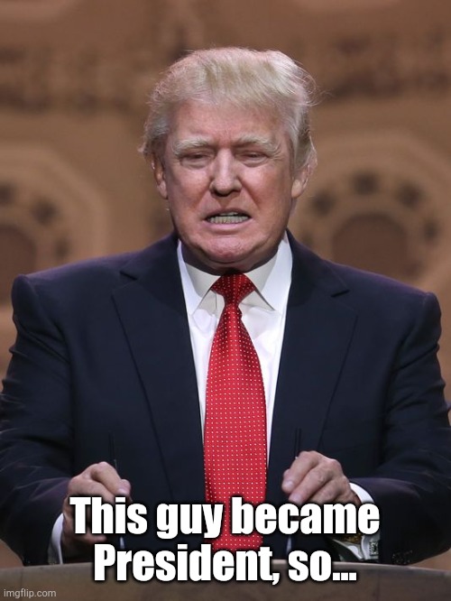 Donald Trump | This guy became President, so... | image tagged in donald trump | made w/ Imgflip meme maker