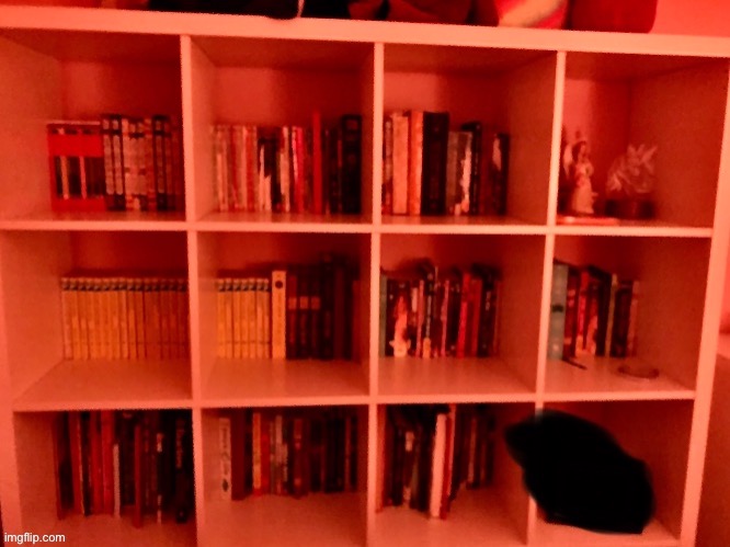 210 books on my shelf, black blob hides photo of me. | image tagged in nerd books | made w/ Imgflip meme maker