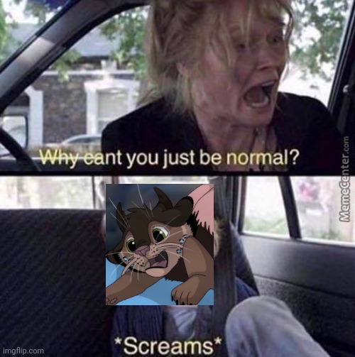 Why Can't You Just Be Normal | image tagged in why can't you just be normal | made w/ Imgflip meme maker