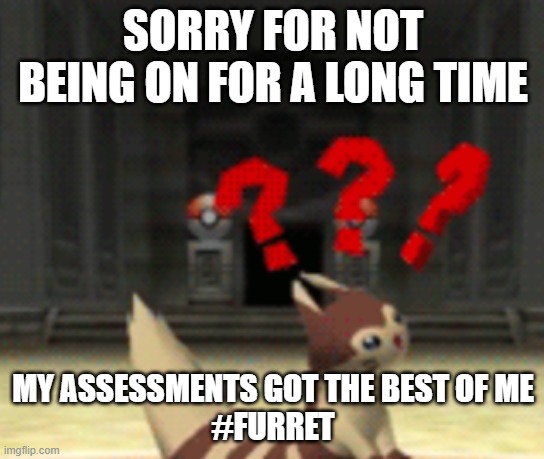 Confused furret |  SORRY FOR NOT BEING ON FOR A LONG TIME; MY ASSESSMENTS GOT THE BEST OF ME
#FURRET | image tagged in confused furret | made w/ Imgflip meme maker