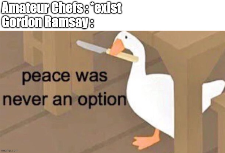 Untitled Goose Peace Was Never an Option | Amateur Chefs : *exist
Gordon Ramsay : | image tagged in untitled goose peace was never an option | made w/ Imgflip meme maker