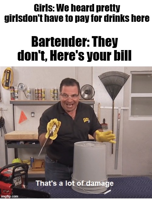 Now THAT'S a lot of damage! | Girls: We heard pretty girlsdon't have to pay for drinks here; Bartender: They don't, Here's your bill | image tagged in thats a lot of damage,damage,roasted,oof | made w/ Imgflip meme maker