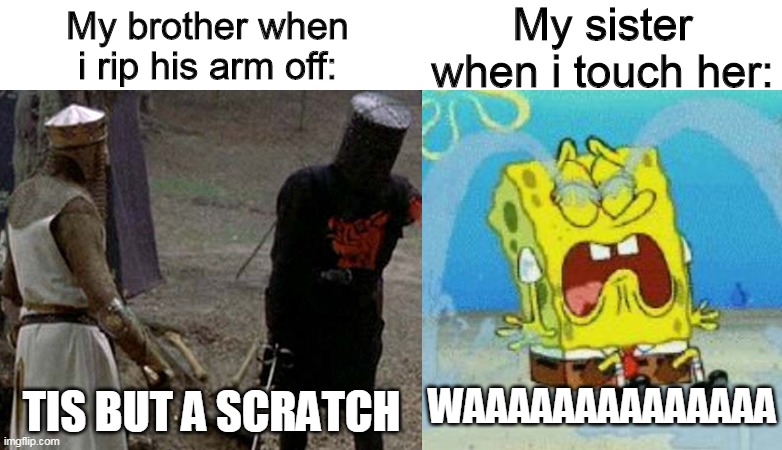 My sister when i touch her:; My brother when i rip his arm off:; TIS BUT A SCRATCH; WAAAAAAAAAAAAAA | image tagged in tis but a scratch | made w/ Imgflip meme maker