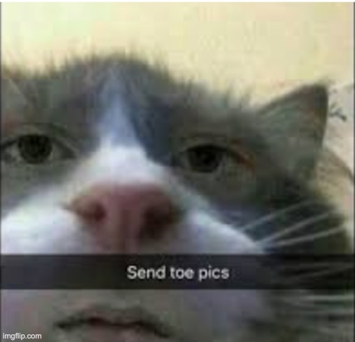 send toe pics | image tagged in r/comedyhell,do it or i'll kill myself | made w/ Imgflip meme maker