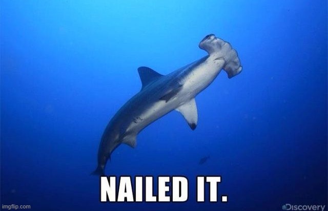 Nailed it! | image tagged in memes,shark week | made w/ Imgflip meme maker