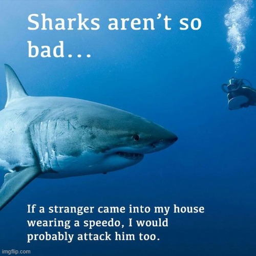 For your consideration | image tagged in memes,shark week | made w/ Imgflip meme maker