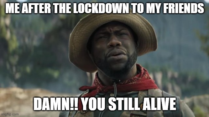 damn!! | ME AFTER THE LOCKDOWN TO MY FRIENDS; DAMN!! YOU STILL ALIVE | image tagged in funny | made w/ Imgflip meme maker