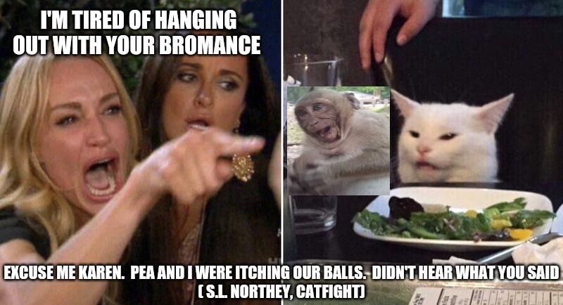 Woman Pointing at Cat | I'M TIRED OF HANGING OUT WITH YOUR BROMANCE; EXCUSE ME KAREN.  PEA AND I WERE ITCHING OUR BALLS.  DIDN'T HEAR WHAT YOU SAID
( S.L. NORTHEY, CATFIGHT) | image tagged in woman pointing at cat | made w/ Imgflip meme maker