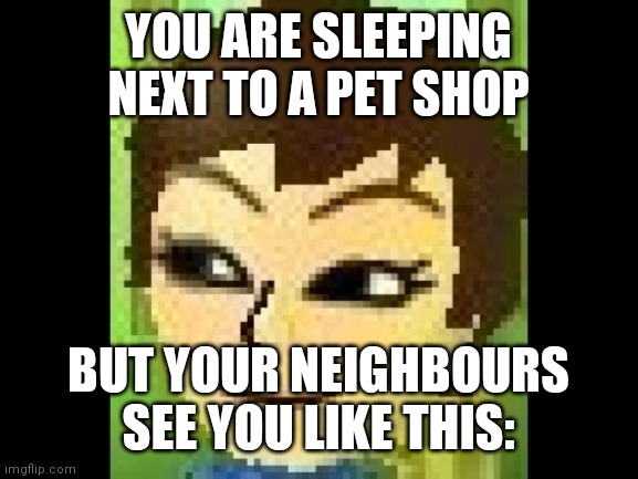 Losky's Mii | YOU ARE SLEEPING NEXT TO A PET SHOP; BUT YOUR NEIGHBOURS SEE YOU LIKE THIS: | image tagged in losky's mii | made w/ Imgflip meme maker