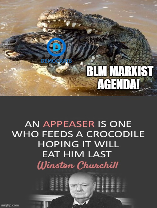 Black Lives Matter Marxist Agenda | BLM MARXIST AGENDA! | image tagged in blm,stupid liberals,democrats | made w/ Imgflip meme maker