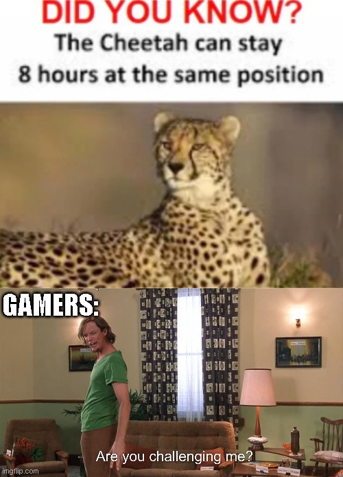 animals can't beat us | GAMERS: | image tagged in are you challenging me,cheetah,gamer,challenge,meme | made w/ Imgflip meme maker