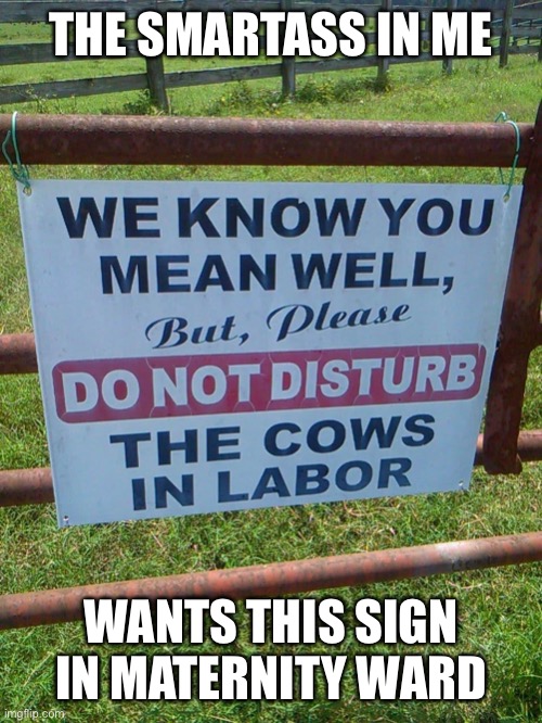 Maternity sign | THE SMARTASS IN ME; WANTS THIS SIGN IN MATERNITY WARD | image tagged in pregnant,cows | made w/ Imgflip meme maker