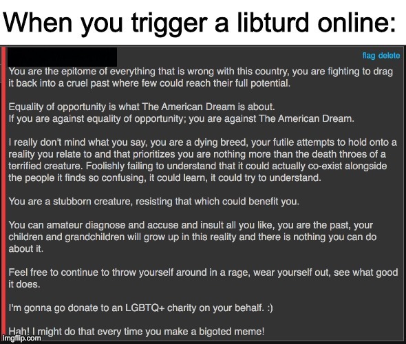Bizarre angry rant thrown by an anonymous imgflip user | image tagged in when you trigger a libturd online,funny,memes,politics,triggered liberal,angry liberal | made w/ Imgflip meme maker