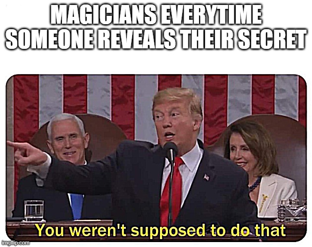 You weren't supposed to do that | MAGICIANS EVERYTIME SOMEONE REVEALS THEIR SECRET | image tagged in you weren't supposed to do that | made w/ Imgflip meme maker