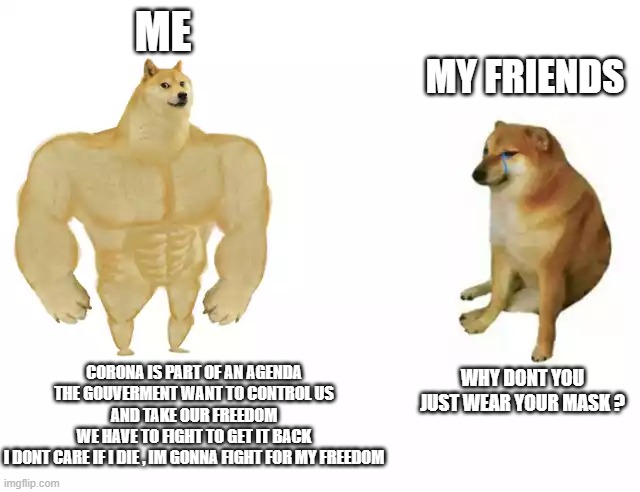 Buff Doge vs. Cheems Meme | ME; MY FRIENDS; CORONA IS PART OF AN AGENDA
THE GOUVERMENT WANT TO CONTROL US
 AND TAKE OUR FREEDOM 
WE HAVE TO FIGHT TO GET IT BACK
I DONT CARE IF I DIE , IM GONNA FIGHT FOR MY FREEDOM; WHY DONT YOU JUST WEAR YOUR MASK ? | image tagged in buff doge vs cheems | made w/ Imgflip meme maker