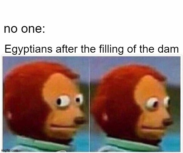 Monkey Puppet | no one:; Egyptians after the filling of the dam | image tagged in memes,monkey puppet | made w/ Imgflip meme maker