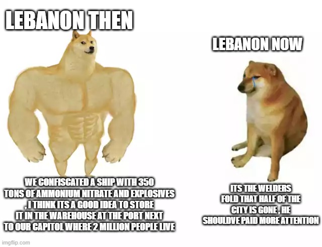 Buff Doge vs. Cheems Meme | LEBANON THEN; LEBANON NOW; ITS THE WELDERS FOLD THAT HALF OF THE CITY IS GONE , HE SHOULDVE PAID MORE ATTENTION; WE CONFISCATED A SHIP WITH 350 TONS OF AMMONIUM NITRATE AND EXPLOSIVES , I THINK ITS A GOOD IDEA TO STORE IT IN THE WAREHOUSE AT THE PORT NEXT TO OUR CAPITOL WHERE 2 MILLION PEOPLE LIVE | image tagged in buff doge vs cheems | made w/ Imgflip meme maker