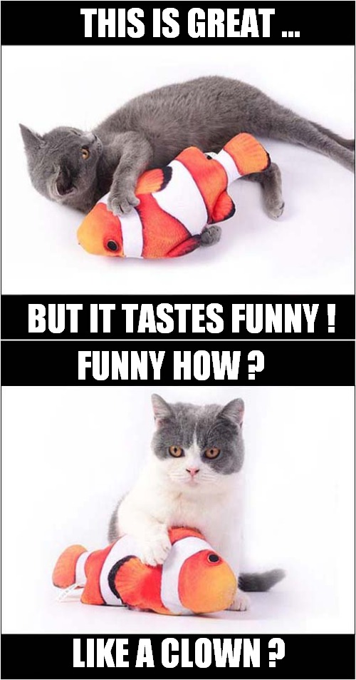 Cats Vs Clownfish | THIS IS GREAT …; BUT IT TASTES FUNNY ! FUNNY HOW ? LIKE A CLOWN ? | image tagged in cats,finding nemo,good fellas | made w/ Imgflip meme maker