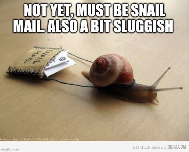 NOT YET, MUST BE SNAIL MAIL. ALSO A BIT SLUGGISH | made w/ Imgflip meme maker